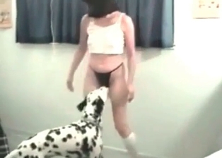 Dalmatian in a hot bestiality porn