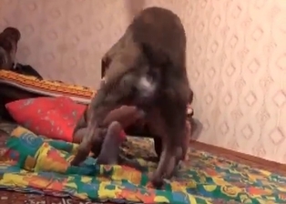 Dog drills her hole with love