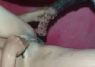 Stallion cums in her lil cunt