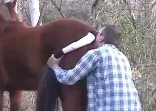 Sweet horse is getting fingered
