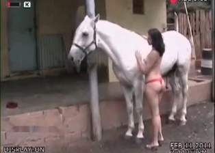Gorgeous blowjob for a sexy stallion