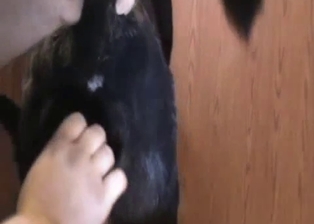 Fucking my own doggy with a huge dildo