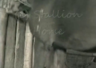 Hardcore anal sex with a big black pony