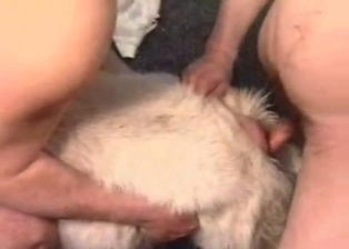 Huge male dick fills out anus of a doggy