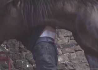 Stallion cums a huge load in zoophile ass