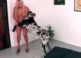 Slim zoophile with blond hair fucked by a dalmatian