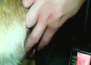 Guy is happy to fuck a female dog with passion