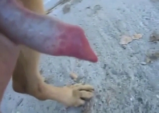 Hairy and horny dog getting jerked off hard