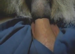Deep and hard fuck with animal that prefers gape