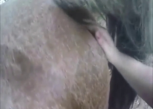 Dude is going to give this stallion a rimjob