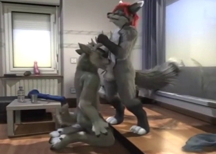 Furry porn movie with a hard cock sliding inside