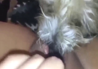 Licking that pussy up close to make the girl cum