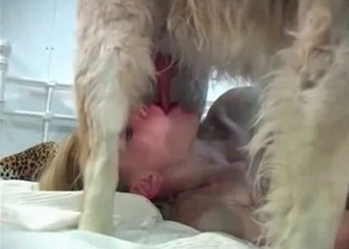 Zoophile and dog in amateur bestiality