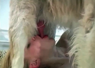 Zoophile and dog in amateur bestiality