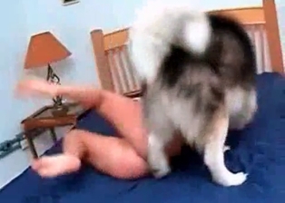 Mongrel drills her tight wet pussy