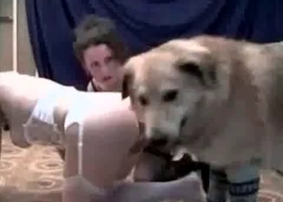 Tight cunt nicely drilled by doggy