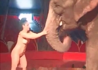 Elephant gets tons of pleasure