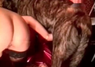 lutty zoophilic loose woman gets fucked by dog
