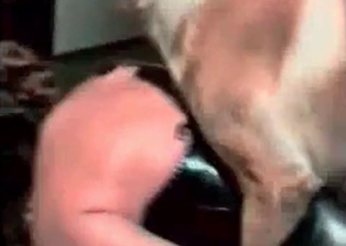 Sexy doggy nailed a slutty bitch