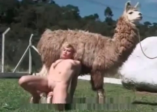 Lusty whore and farm animal
