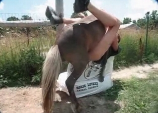 Anal action with a hot zoophile