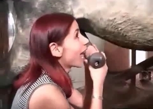 Bestial sex of two young zoophiles