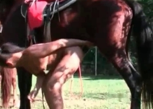 Leggy girl drilled by stallion