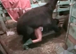 Farm bestiality porn with my animals